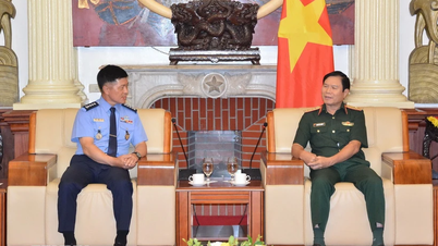 Developing cooperation between Vietnam and South Korea air forces