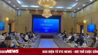 សហគ្រាសធុនតូច និងមធ្យមកំពុងប្រឈមមុខនឹងការលំបាកក្នុងដំណើរការផ្លាស់ប្តូរឌីជីថល។