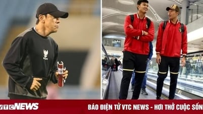 Indonesia khủng hoảng lực lượng, HLV Shin Tae-yong gọi gấp cầu thủ sang Việt Nam