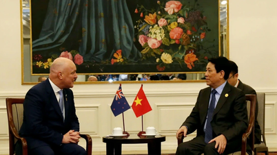 Quan hệ Đối tác Chiến lược Việt Nam-New Zealand ngày càng phát triển 