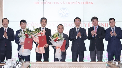 ក្រសួងព័ត៌មាន និងទំនាក់ទំនងតែងតាំងប្រធាន និងសមាជិកក្រុមប្រឹក្សាភិបាលនៃសាជីវកម្ម VTC