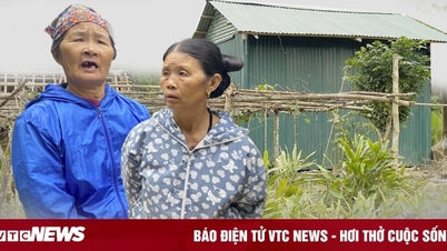 Bí ẩn bên trong ngôi nhà tôn xanh của gia đình 'âm binh'