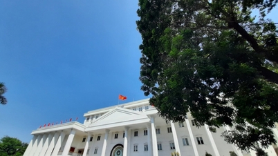 Quelle langue étrangère a été enseignée en premier à l’Université de Hanoi ?