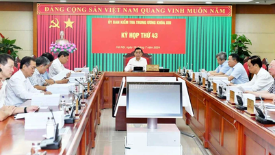 The Central Inspection Commission disciplined and proposed to discipline many individuals.