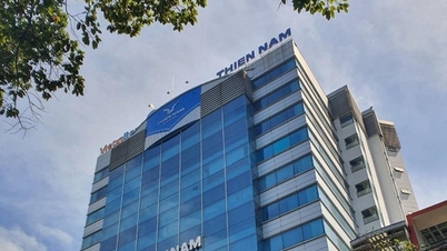 ការ​នាំ​ចេញ​របស់ Thien Nam (TNA) បាន​រង​ការ​ខាត​បង់​ចំនួន 3 ត្រីមាស​ជាប់​គ្នា ហើយ​ត្រូវ​បាន​បង្ខំ​ឱ្យ​បង់​ពន្ធ។