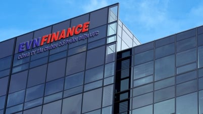 EVNFinance bất ngờ chấm dứt hợp đồng với kiểm toán 'Big4' E&Y