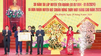 The first district of Ninh Binh meets advanced new rural standards