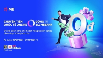Optimieren Sie die finanzielle Effizienz bei BIZ MBBank