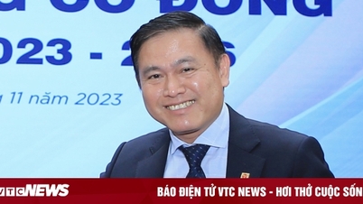 លោក Tran Anh Tu បន្តធ្វើជាប្រធានក្រុមប្រឹក្សាភិបាល VPF