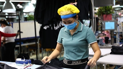 บริษัทสิ่งทอและเครื่องนุ่งห่มที่มีพนักงาน 4,000 คน สูญเสียเงินหลายหมื่นล้านดอง ตอนนี้เหลือพนักงานเพียง 37 คน