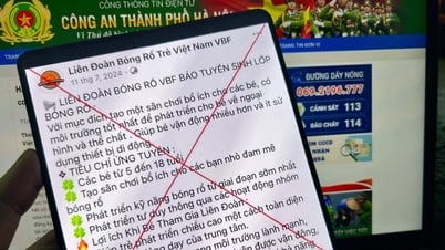 ម្តាយនៅទីក្រុងហាណូយបានបាត់បង់ប្រាក់ចំនួន 1.1 ពាន់លានដុងនៅពេលចុះឈ្មោះកូនរបស់គាត់សម្រាប់ការហាត់បាល់បោះ