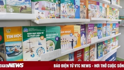 Sách giáo khoa năm học 2023
