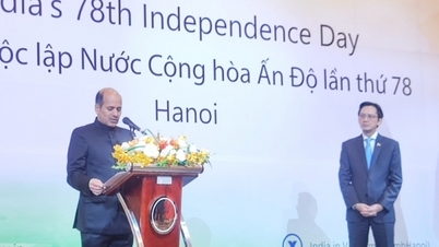 India - Vietnam relations still have much potential and room for development.
