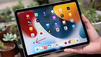 ជួសជុលចំណុចខ្មៅអេក្រង់ iPad លឿន និងងាយស្រួល