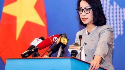 ការដំឡើងរនាំងរបស់ចិននៅ Truong Sa រំលោភលើអធិបតេយ្យភាពរបស់វៀតណាម