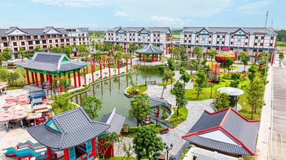 Câu lạc bộ Hoàng Gia: Đặc quyền cho cư dân Vinhomes Royal Island
