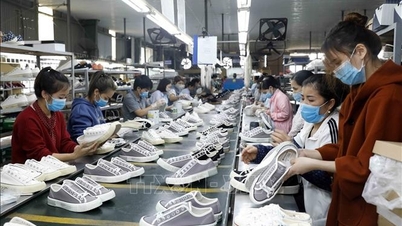 Leather and footwear businesses have not yet fully exploited the advantages and potential brought about by FTAs.