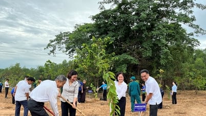 Thực hiện 2 công trình chào mừng đại hội Mặt trận tỉnh Bình Dương