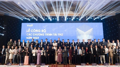 VINIF អមជាមួយការអភិវឌ្ឍន៍វិទ្យាសាស្ត្រ