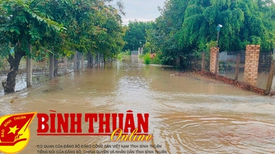 Mưa lớn, gió lốc gây thiệt hại ước 1,7 tỷ đồng