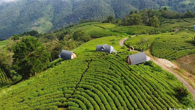 Cao Bang រក្សា និងលើកកំពស់តម្លៃនៃចំណងជើង Geopark
