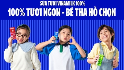Launching a new product or new packaging every 2 days, Vinamilk is a pioneer in bringing world standards to Vietnam.