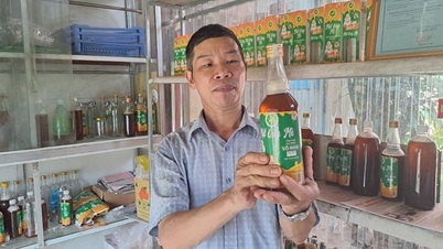 លើកកំពស់ផលិតផលទឹកឃ្មុំ ប្រធានសមាគមកសិករនៃឃុំមួយក្នុងខេត្ត Thai Nguyen បើកផ្លូវចេញពីភាពក្រីក្រសម្រាប់មនុស្សជាច្រើន។