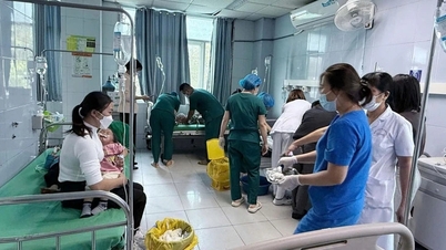 Công an Lai Châu vào cuộc vụ 20 trẻ mầm non nghi ăn nhầm thuốc diệt chuột