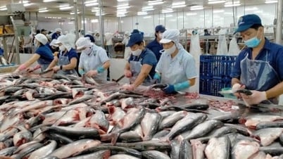 Exporting 76.3 billion USD worth of goods to the CPTPP market