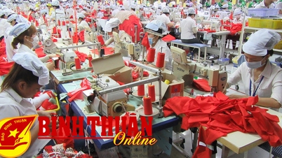 Hướng đến trở thành một trong những ngành công nghiệp cơ bản của Bình Thuận