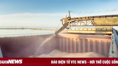 EU grain imports from Russia increase tenfold