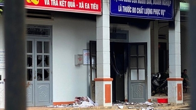 Đã bắt giữ 16 nghi phạm