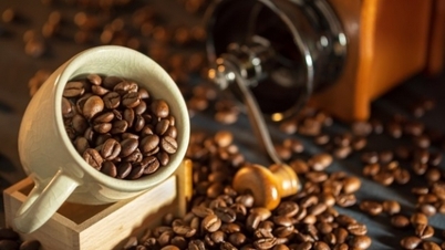انخفضت أسعار القهوة المحلية بشكل حاد، حيث خسرت 14000 دونج في شهر واحد، وهو إنجاز غير مسبوق لصناعة القهوة الفيتنامية