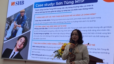 Chuyên gia tuyển dụng nêu 'case study' Sơn Tùng-MTP về định vị cá nhân