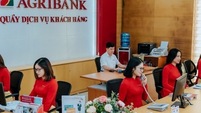 Agribank báo lãi gần 26.000 tỷ đồng năm 2023