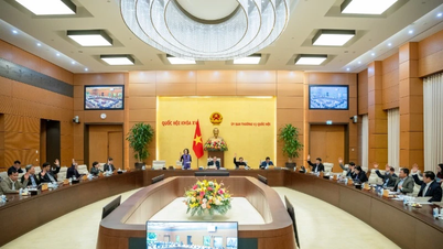 Announcement of 3 Resolutions of the National Assembly Standing Committee
