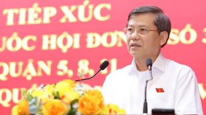 Director Le Minh Tri talks about the Van Thinh Phat case and Mr. Luu Binh Nhuong case.