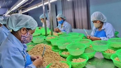 Durante 9 meses, la importación y exportación de mercancías floreció y logró resultados positivos.