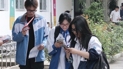 Comments on the competency assessment test of Hanoi National University