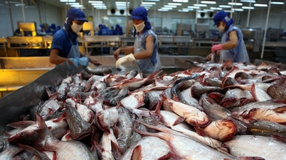 Cơ hội lớn, các đại gia thủy sản vẫn lao dốc