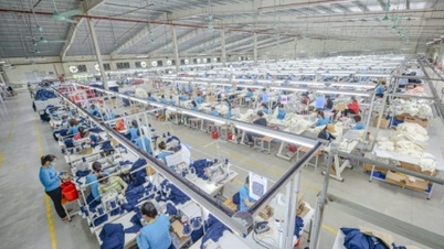 EU gibt fast 3,1 Milliarden USD für den Kauf von Textilien von vietnamesischen Lieferanten aus