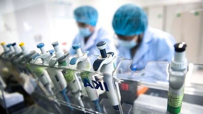 Nearly 50% of the world's researchers leave science after 10 years