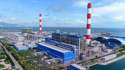 Many hydroelectric and thermal power companies have reduced profits, some businesses have lost hundreds of billions of dong.