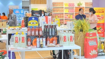 Thị trường Halal 5.000 tỷ USD mỗi năm: Tiềm năng và cơ hội cho doanh nghiệp Việt Nam