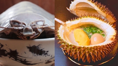 គុយទាវ​ទុរេន សត្វ​កកេរ​សមុទ្រ​យក្ស​បង្ក​ឲ្យ​មាន​គ្រុនក្តៅ​នៅ​អាស៊ី