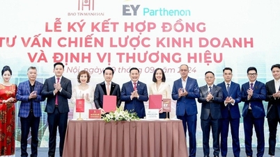 باو تين مان هاي تتعاون مع EY-Parthenon و NEWing: مستقبل متطور