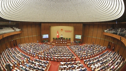 Transmisión en vivo de la 7ª sesión de la 15ª Asamblea Nacional (27 de mayo): La Asamblea Nacional discute el proyecto de ley sobre el seguro social (modificado)