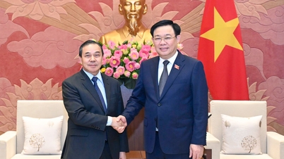 [Ảnh] Chủ tịch Quốc hội Vương Đình Huệ tiếp Đại sứ Lào Sengphet Houngboungnuang