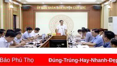 Kiểm tra tiến độ giải phóng mặt bằng Khu Công nghiệp Cẩm Khê