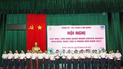 Vùng 2 Hải quân: Tôn vinh quân nhân chuyên nghiệp tiêu biểu xuất sắc
